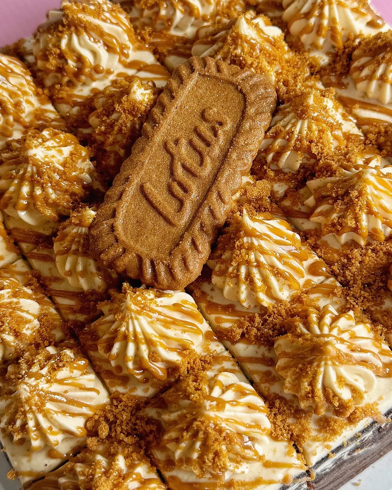 Chocolate Biscoff Cream Cheese Cake — 2