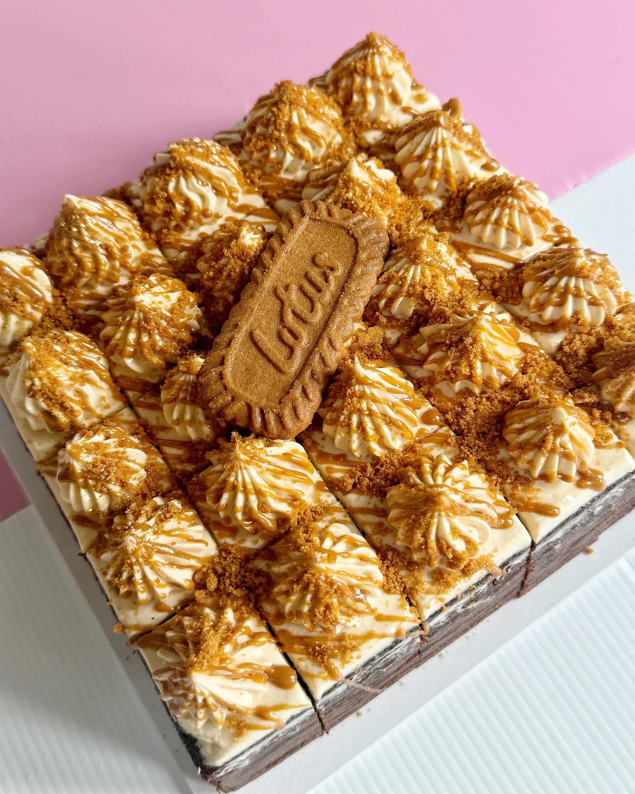 Chocolate Biscoff Cream Cheese Cake